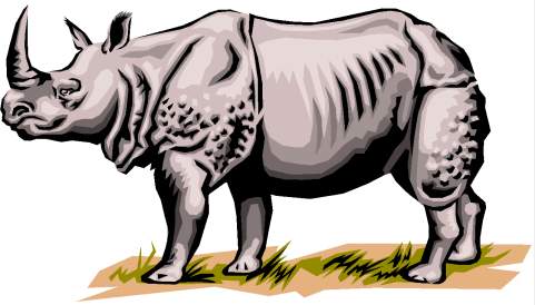 rhyno - rinoceronte