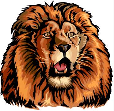 lion - leone